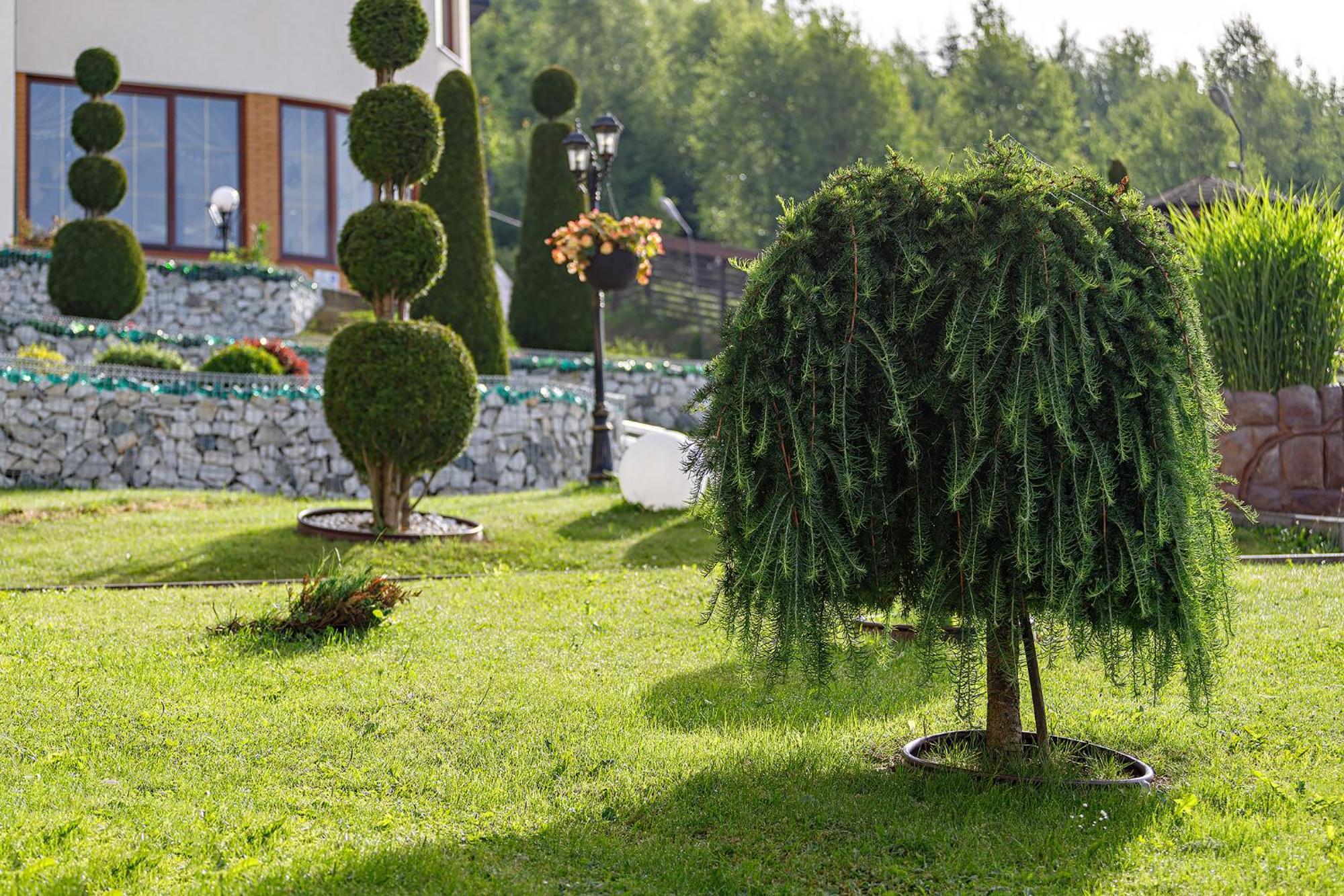 Hotel Podgore Spa&Resort Bukovel Esterno foto